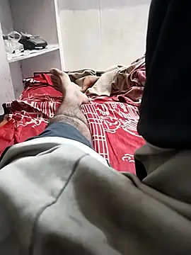 hyderabad single online show from January 17, 3:04 pm