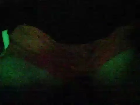 elpervertidito online show from November 13, 4:50 am