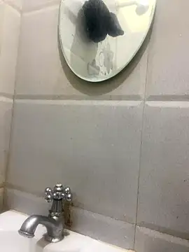 calibrow online show from January 14, 9:36 am