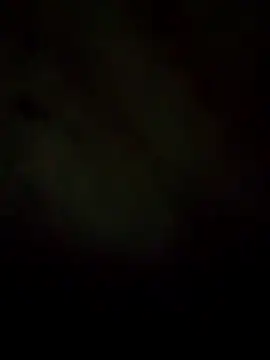 Rogerlima099 online show from March 14, 7:26 am