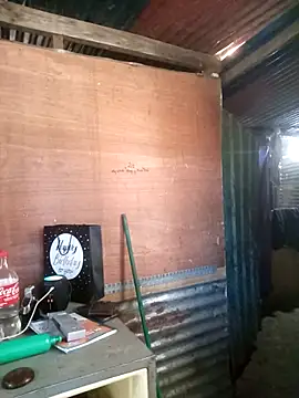 juunioreest online show from January 15, 5:37 pm