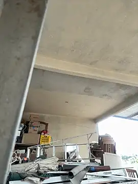 DARG 17 online show from November 24, 7:59 pm