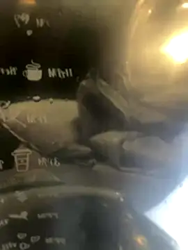 mcylzsd online show from November 27, 1:20 am