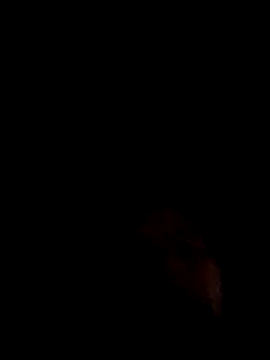 aboogie0420 online show from December 19, 4:09 am