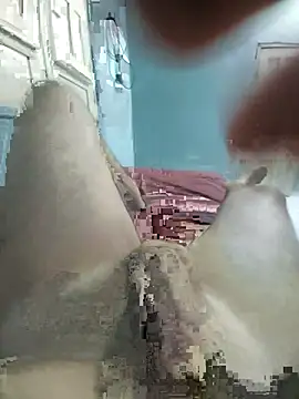 macholeiiteiro online show from February 3, 12:52 am