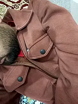 Pulkeet1433 online show from February 23, 12:18 pm