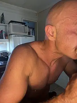 dogfrota online show from March 14, 8:27 pm