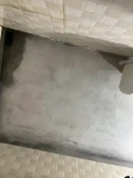 nmducnb online show from March 7, 5:33 pm