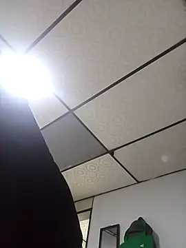 ahsssex2026 online show from February 7, 10:11 am