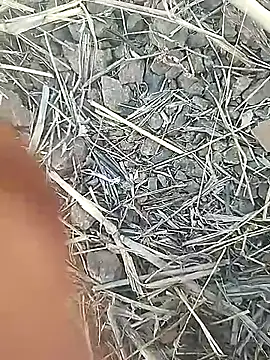 Cute Boy 4 online show from February 18, 8:12 am