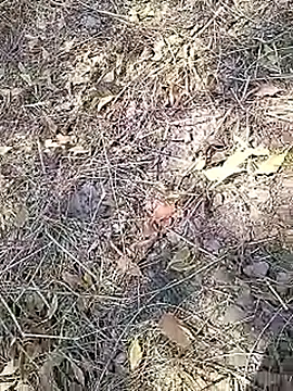 Cute Boy 4 online show from April 16, 7:52 am