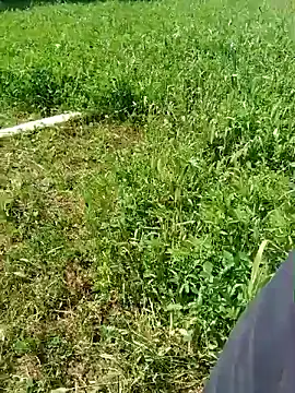 Sharmasamba online show from March 25, 6:17 am