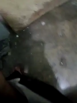 tortolito201 online show from February 11, 7:46 am