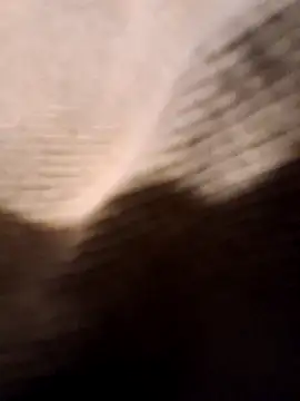 bojo69 online show from February 9, 2:11 pm