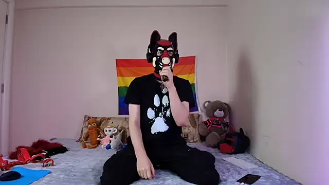 K9 GoodBoy online show from April 15, 5:13 pm