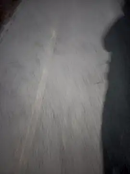 LDJ199 online show from February 26, 12:17 pm