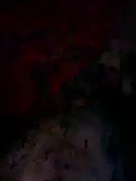 bwcyoussef online show from February 27, 6:36 am