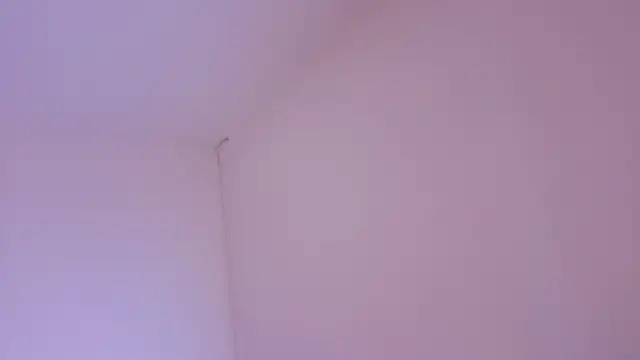 dave eliot online show from March 14, 9:00 pm