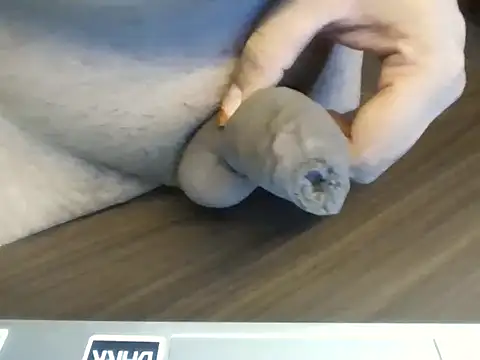 bigbuldgee online show from March 24, 12:21 pm