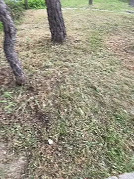 maikel18b online show from April 9, 5:19 pm