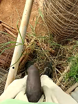 sanju 5418 online show from April 5, 8:55 am