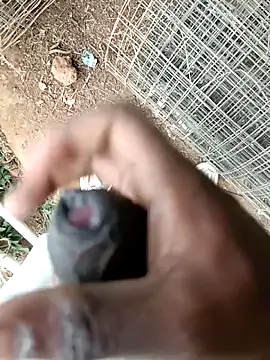 sanju 5418 online show from April 4, 6:21 am