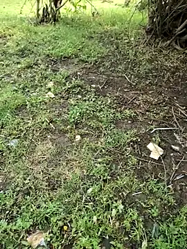 junedkhan99 online show from April 4, 5:26 am