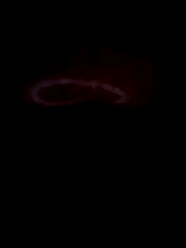 teluguabbai4567 online show from April 21, 11:55 pm