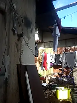 Ver-gudito online show from April 25, 1:41 pm