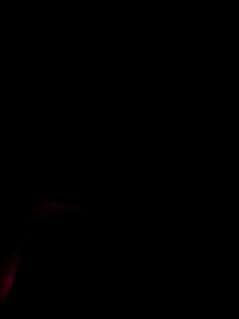 GregorioBIGDICK online show from June 15, 12:08 pm