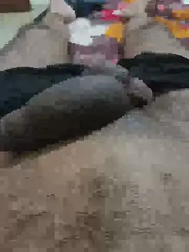 Daddycock 24 online show from June 20, 2:22 pm