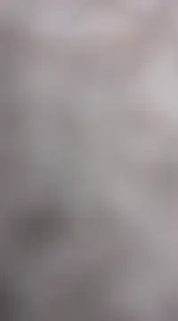 Demillvan online show from January 14, 7:43 pm