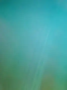 Steveschaw online show from February 19, 11:04 pm