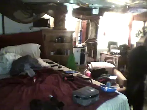 Snapshot of Biknight chatting on February 24, 5:53 pm Biknight online show from February 24, 5:53 pm