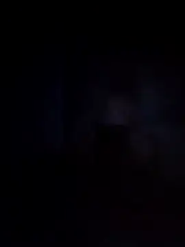 Snapshot of Biknight chatting on December 12, 12:59 am Biknight online show from December 12, 12:59 am