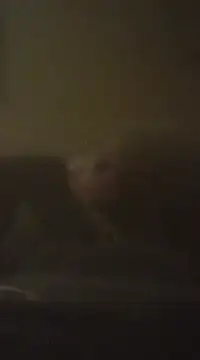 Snapshot of Biknight chatting on December 9, 5:07 am Biknight online show from December 9, 5:07 am