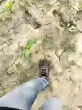 ThethunderPo online show from January 13, 3:01 am