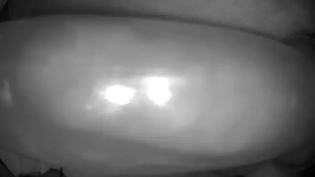 tctwo online show from September 22, 11:37 pm