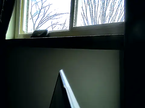 longdick4you8686 online show from February 12, 3:05 pm