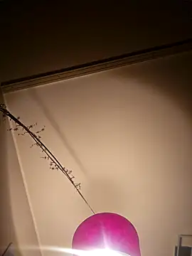 Snapshot of NiceHunter89 chatting on February 5, 10:22 pm NiceHunter89 online show from February 5, 10:22 pm