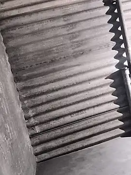 winterison online show from October 9, 4:34 pm