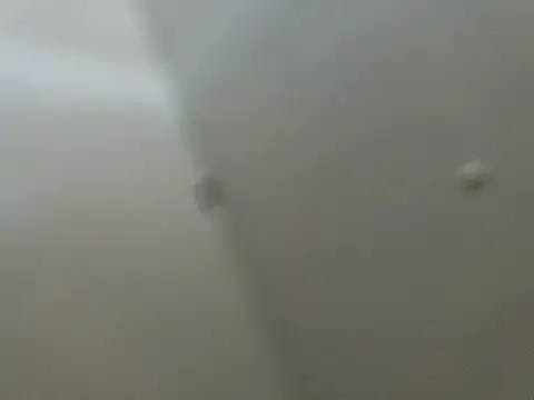 tropikboy online show from February 22, 1:44 pm