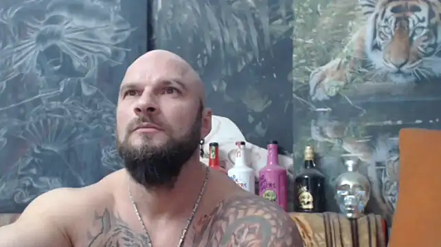 viking 30 online show from November 17, 7:39 pm