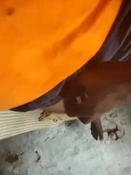 Badboy xyz online show from October 22, 4:05 am