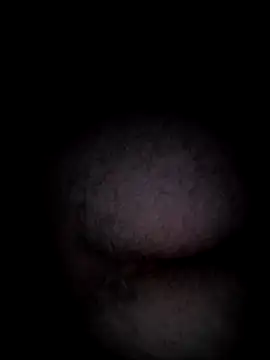 VAMOUS  online show from July 16, 1:01 am