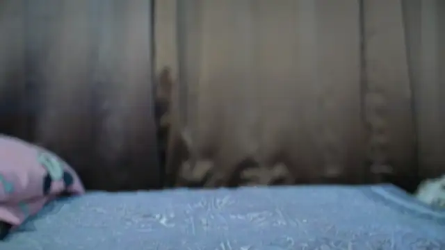 Steffan55 online show from December 16, 8:05 pm