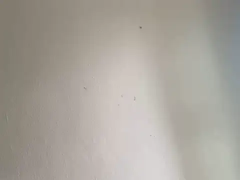 domigoodguy online show from January 10, 6:38 pm