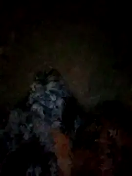 FinableKnee online show from November 10, 3:06 pm