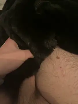 Furdale online show from December 10, 5:44 pm