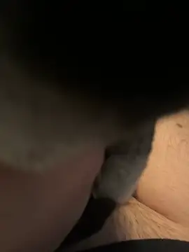 Furdale online show from December 16, 1:11 pm